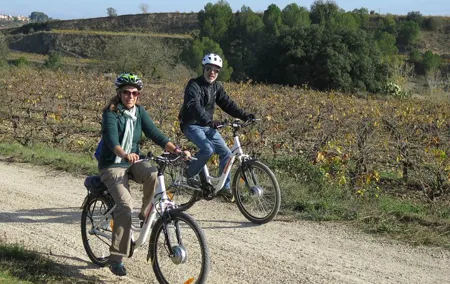 Electric Bicycle Route And Wine Tasting