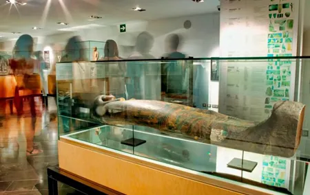 Egyptian Museum Barcelona Entry Ticket
