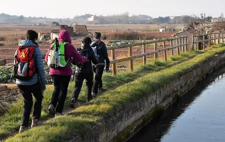 Walking Tour to Parc de la Sèquia from Manresa