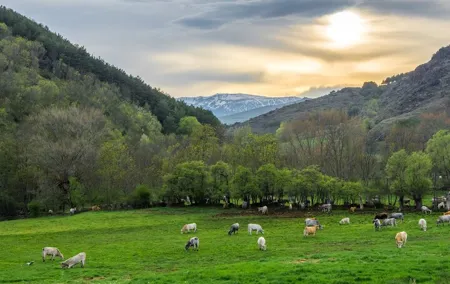 Full Day Private Guided Tour in Cerdanya