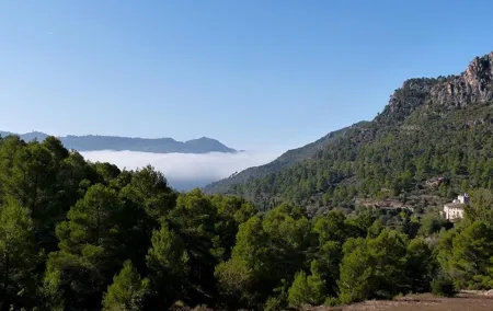 Tarragona Ruins & Priorat 1 day - Reduced group hotel pick up from Barcelona