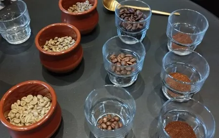 Ultimate Barcelona Coffee Adventure with Mr.B