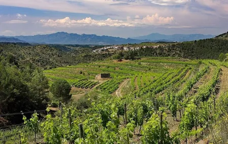 Priorat two-day Tour with Cava Winery and Private Guide