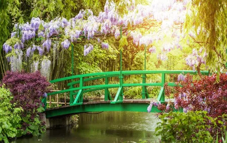 Giverny Monet’s House and Gardens Half Day Tour from Paris