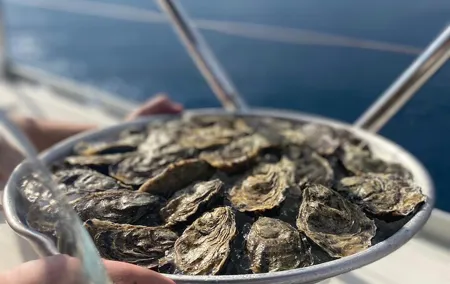 Sunset Sailing in Sitges with Oysters