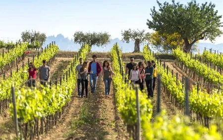Barcelona Port Shore Excursion: Countryside Wine&Cava Tastings and Lunch