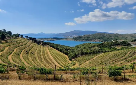 Luxury Wine Tour, Cap de Creus Natural Park - Cadaqués
