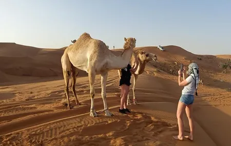 Private Morning Desert Safari Dubai with Dune Bashing & Sandboard