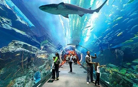 Dubai Aquarium and Underwater Zoo with Penguin Cove Tickets.