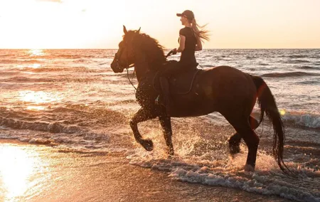 Beach Horse Riding Dubai with Transfers