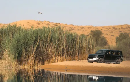 Dubai: Desert Conservation Drive with Breakfast at Al Maha Resort