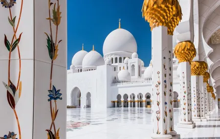 Abu Dhabi city tour & desert safari from Dubai