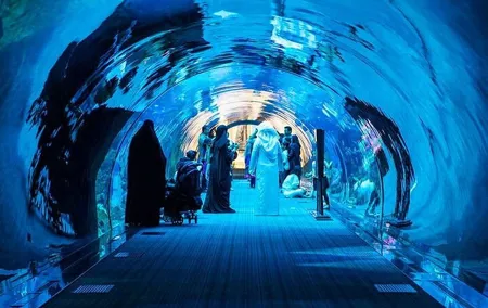 Dubai Aquarium Underwater Zoo Penguin Cove Ticket with options