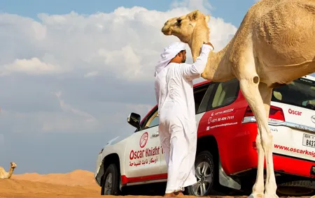 Sunset Camel Trekking, Falcon Show & VIP BBQ Dinner