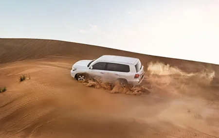 Red Dune Desert Safari with BBQ Dinner, Sand Boarding Dance Shows