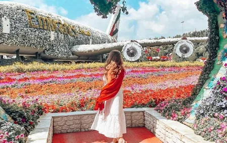 Dubai Miracle Garden Skip the Line E-Ticket and Transport Options