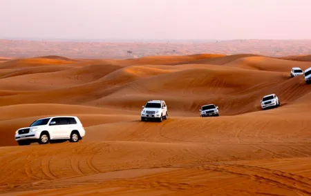 Dubai Desert Safari: Dune Bashing, Camel Ride & BBQ Dinner Show