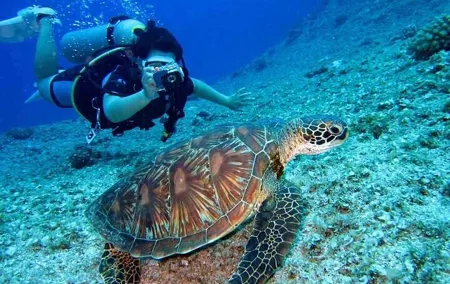 3 Hour Scuba Diving Experience in Dubai with transfer