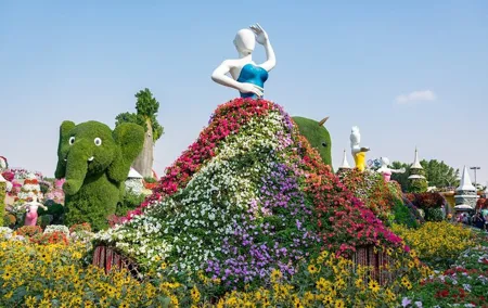 Miracle Garden and Butterfly Garden Combo