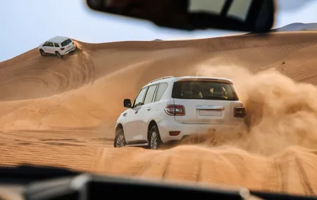Dubai Desert Safari: Camel Ride, Shows & VIP Area Dinner