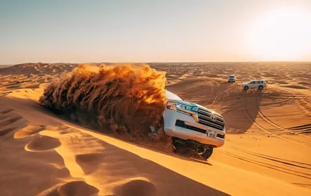 Dubai Red Dunes Desert Safari: 4x4 Pickup, Camel Ride, BBQ & Show