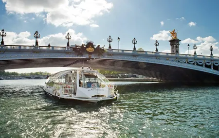 Paris Seine River Hop-On Hop-Off Sightseeing Cruise by Batobus
