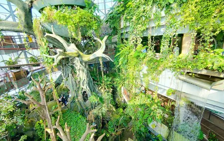 The Green Planet Dubai with Options