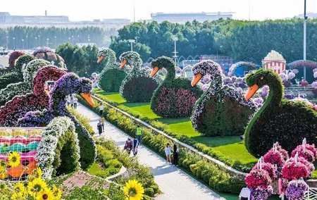 Miracle Garden In Dubai tickets with pickup drop option