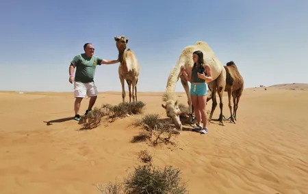 Morning Adventure Safari: CamelTrek QuadBike Sandboard Falcon Pic