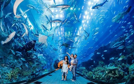 Dubai Aquarium & Level 124 Burj Khalifa Combo