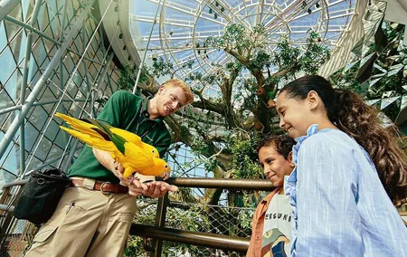 The Green Planet Dubai Tickets and Tropical Forest Adventure