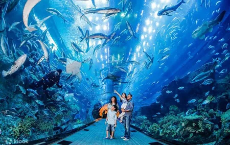 Dubai Aquarium and Underwater Zoo