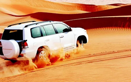 Red Dunes Safari with BBQ dinner, Falcon and Camel Ride