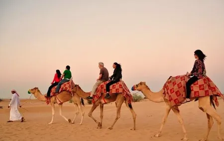 Dubai Desert Safari with Camel Riding and Belly Dance