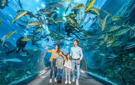 Dubai Mall Aquarium &Underwater Zoo Ticket's With Transfer