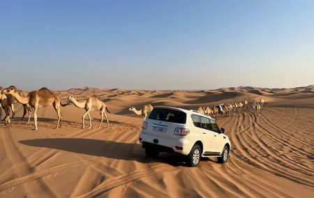 Dubai Desert Safari, Camel Ride, Shisha, Henna, Live BBQ & Shows