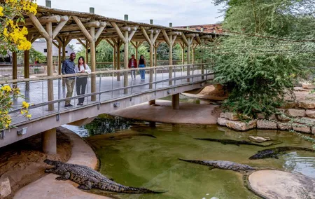 Dubai Crocodile Park Ticket with Transfers