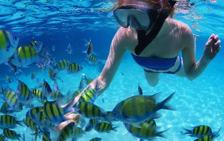 From Dubai: Snorkeling trip in Fujairah