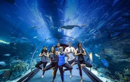 Dubai Mall Aquarium with Penguin Cove + Skyview Ticket