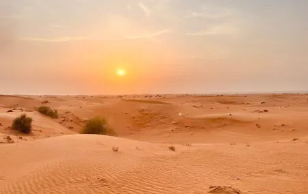 Dubai Red Dunes Desert Safari, Camels & 5* BBQ Dinner
