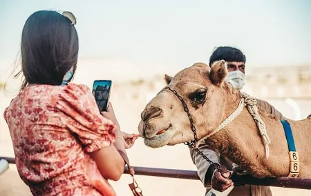 Dubai Royal Camel Racing with Prime Seats and Short Camel Ride
