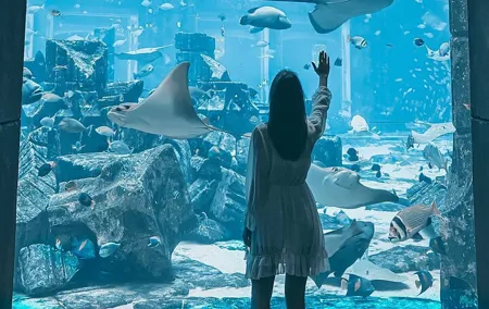 Atlantis Lost Chambers Aquarium Ticket