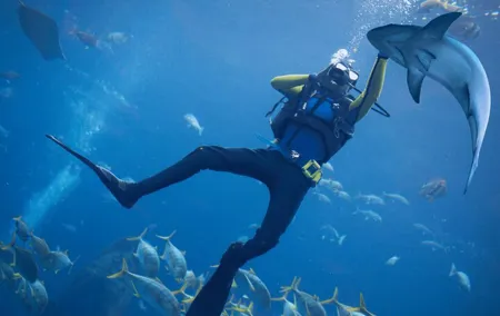 Scuba Diving at Jumeirah Dubai with Private Transfer