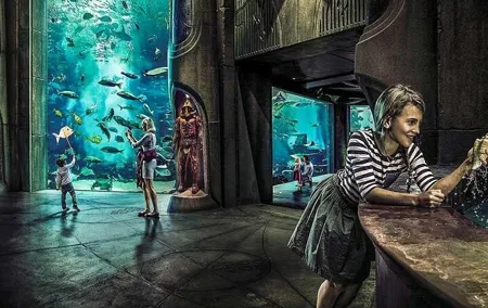 Dubai Lost Chambers Aquarium Admission E-Ticket