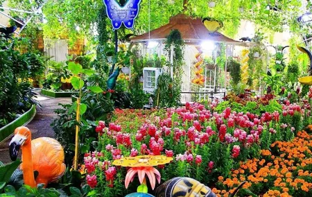 Dubai Butterfly Garden Tour with Optional Transportation Service