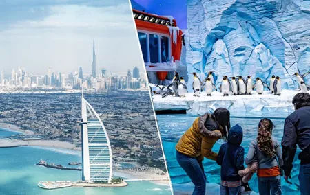 Abu Dhabi City Tour with Sea World Tickets