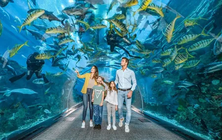 Dubai Aquarium and Underwater Zoo Tickets