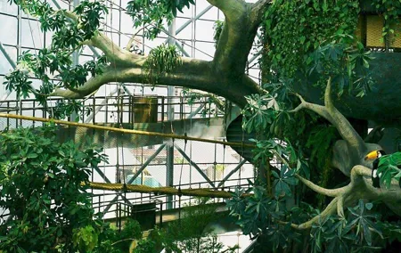 The Green Planet Dubai Tickets with Transfers Option