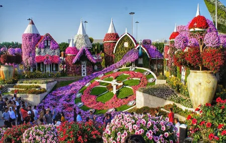 Dubai Miracle Garden Ticket with Transfer