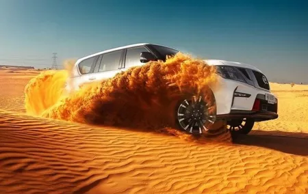 Evening Dubai Desert Safari Experience with Dinner and Shows